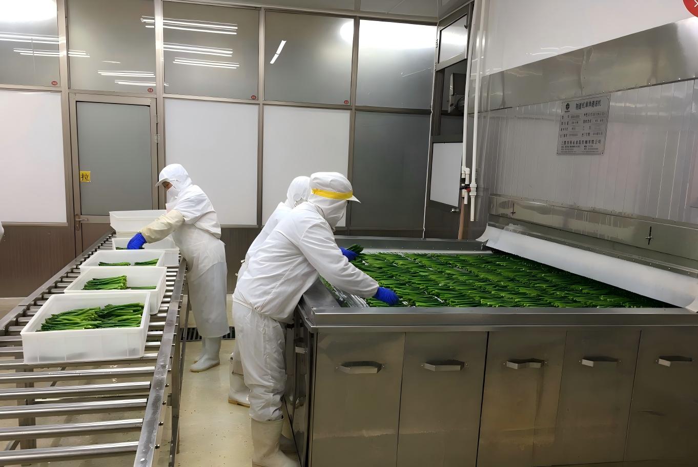 Production Line