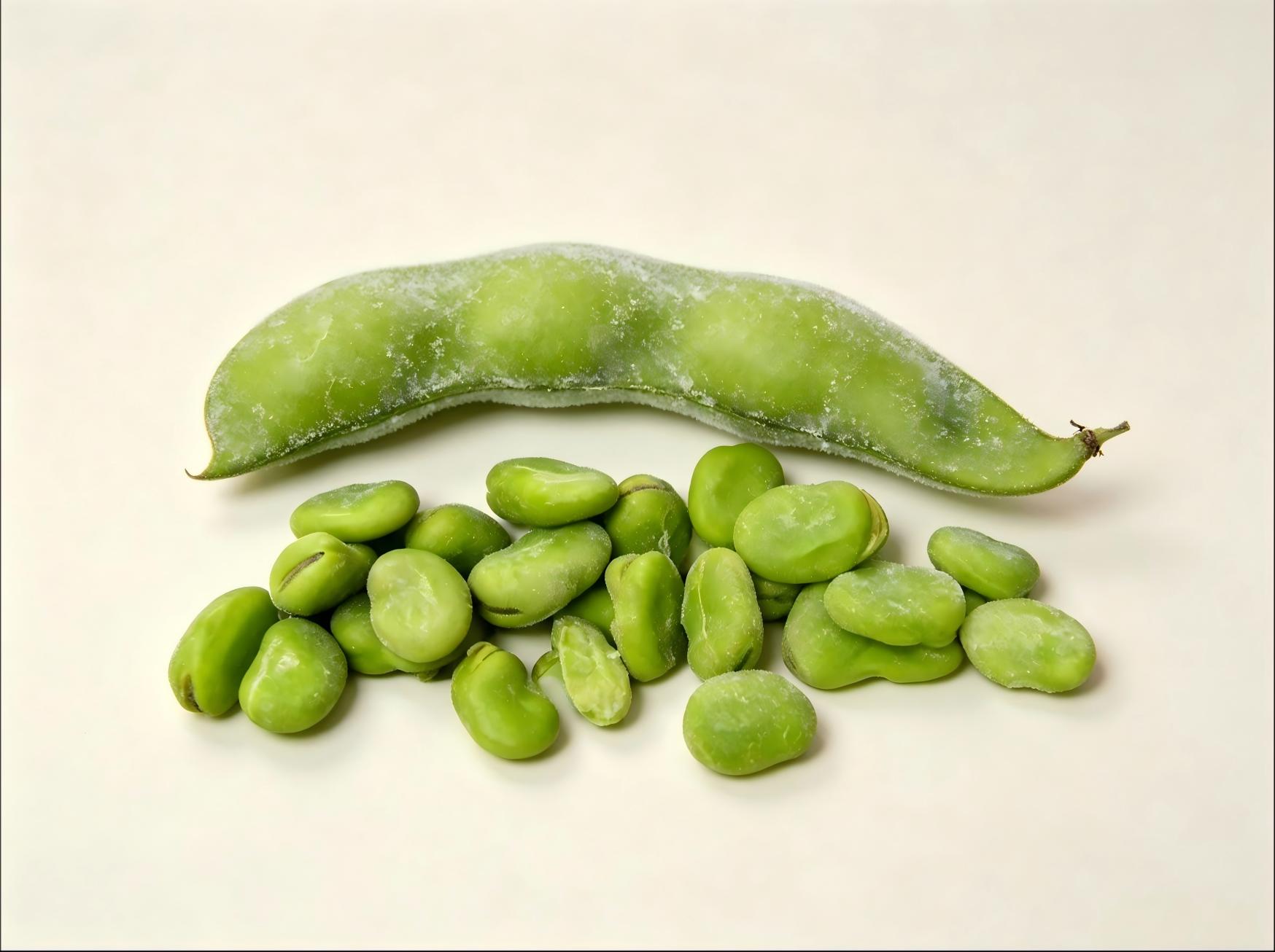 IQF Frozen Broad bean